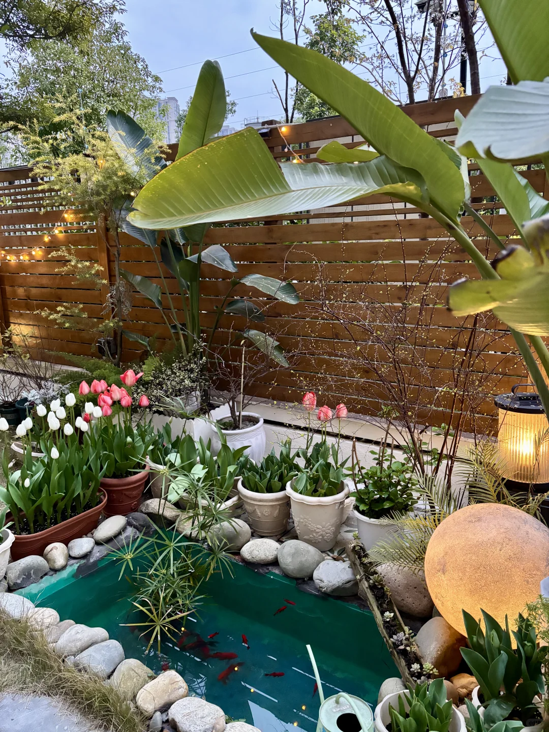 讲真，有这样的院子我能呆1年不出门！?