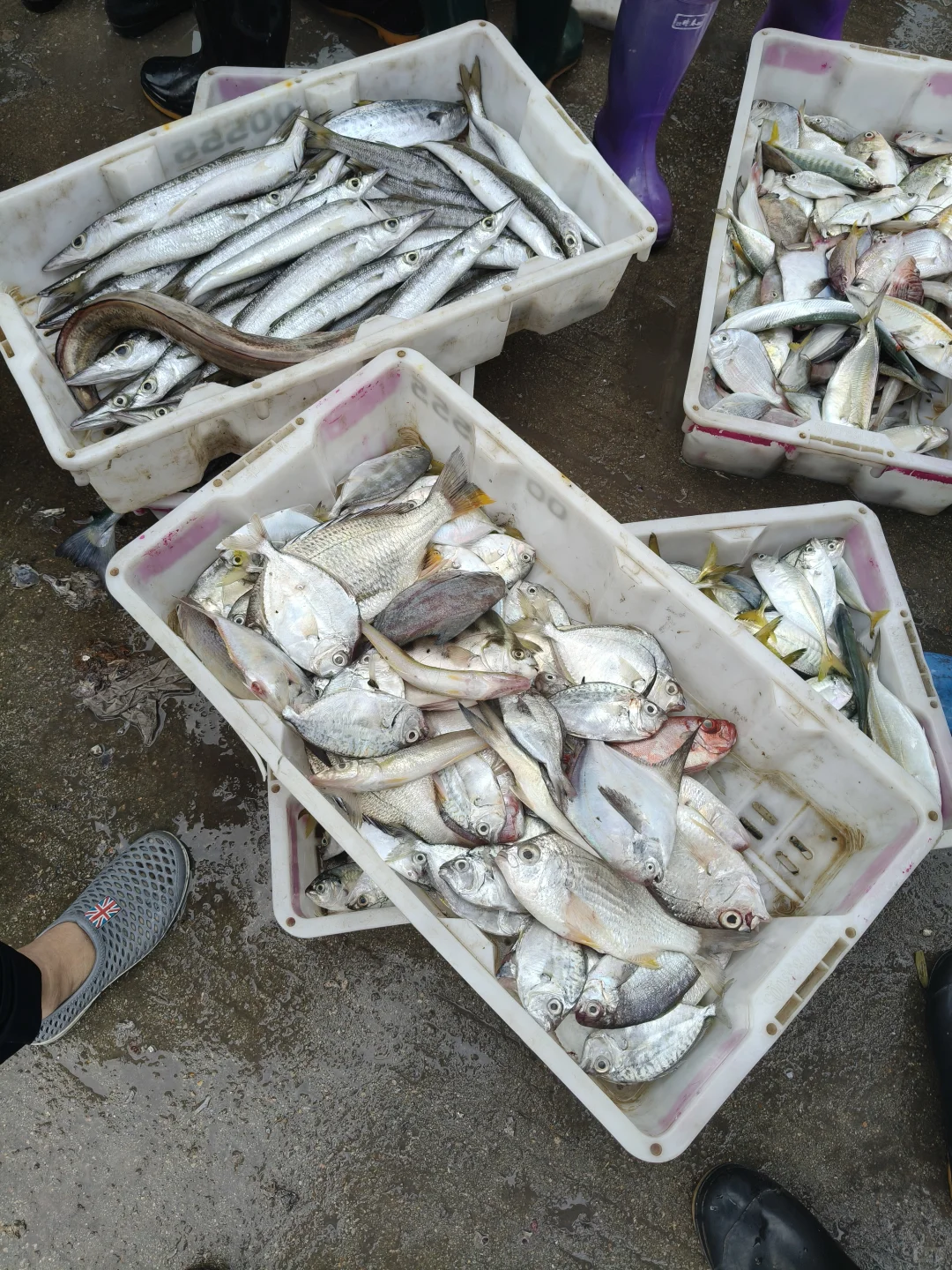 陵水本地人带路！免费代购海鲜+家庭式加工