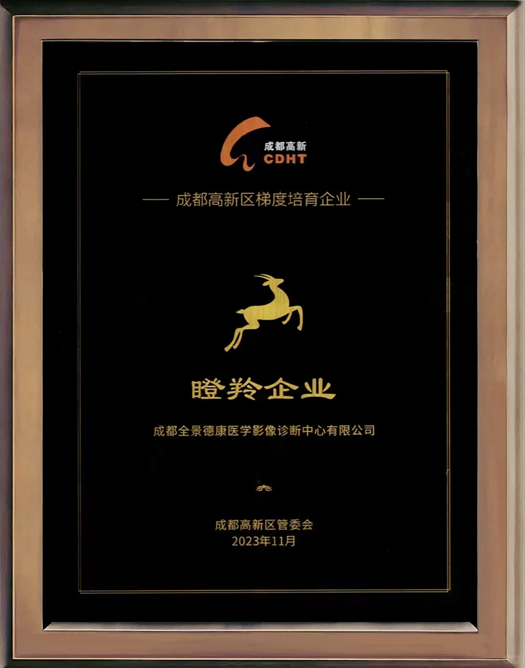 全景医学 高新技术企业