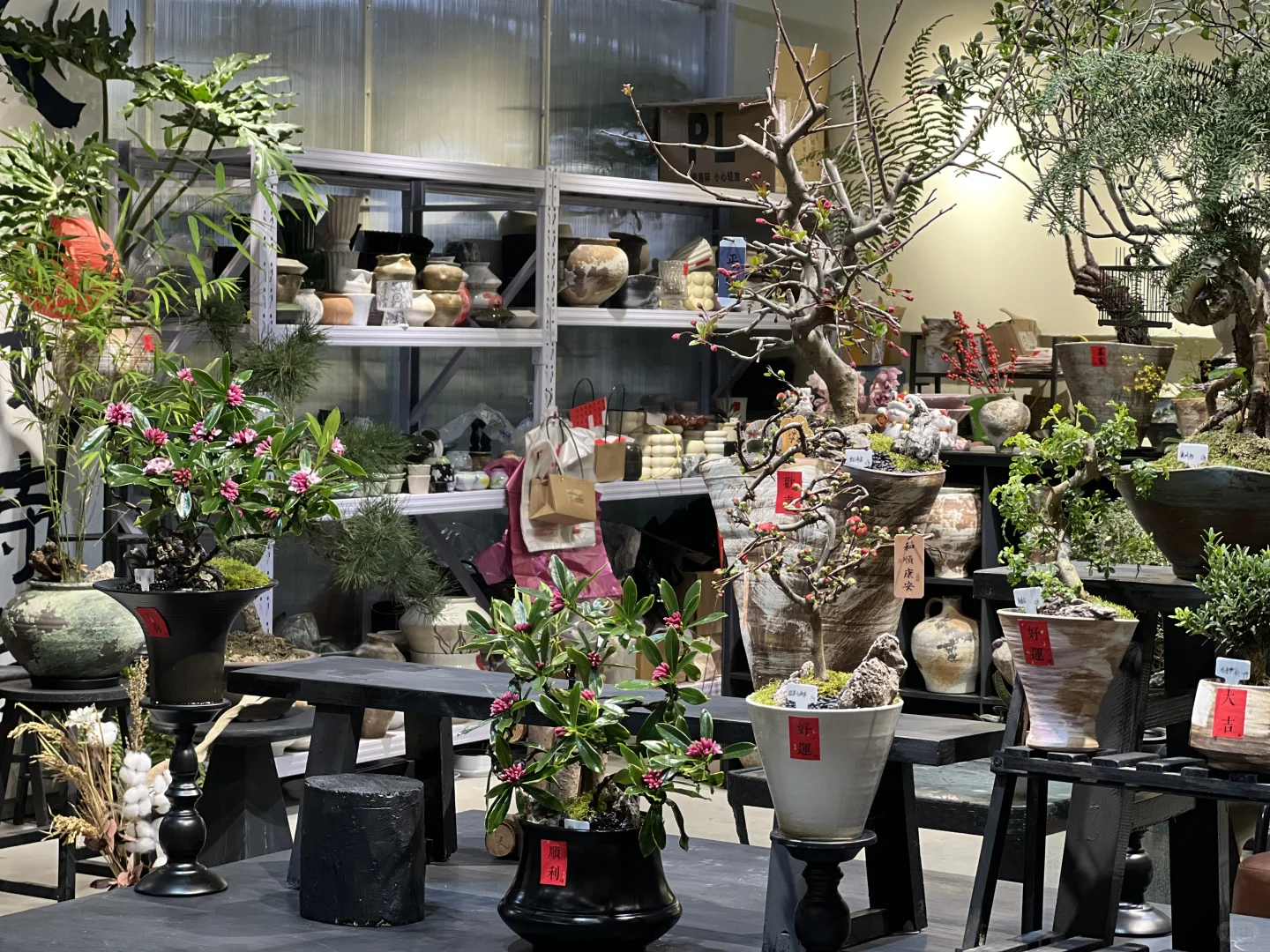 绿植店丨开家绿植店