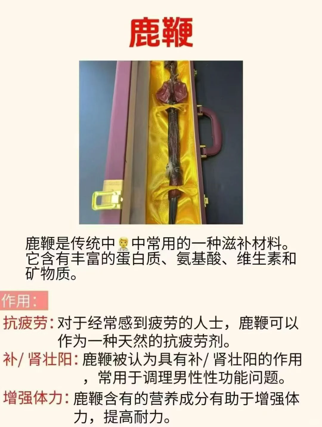 吉林辽源梅花鹿特产