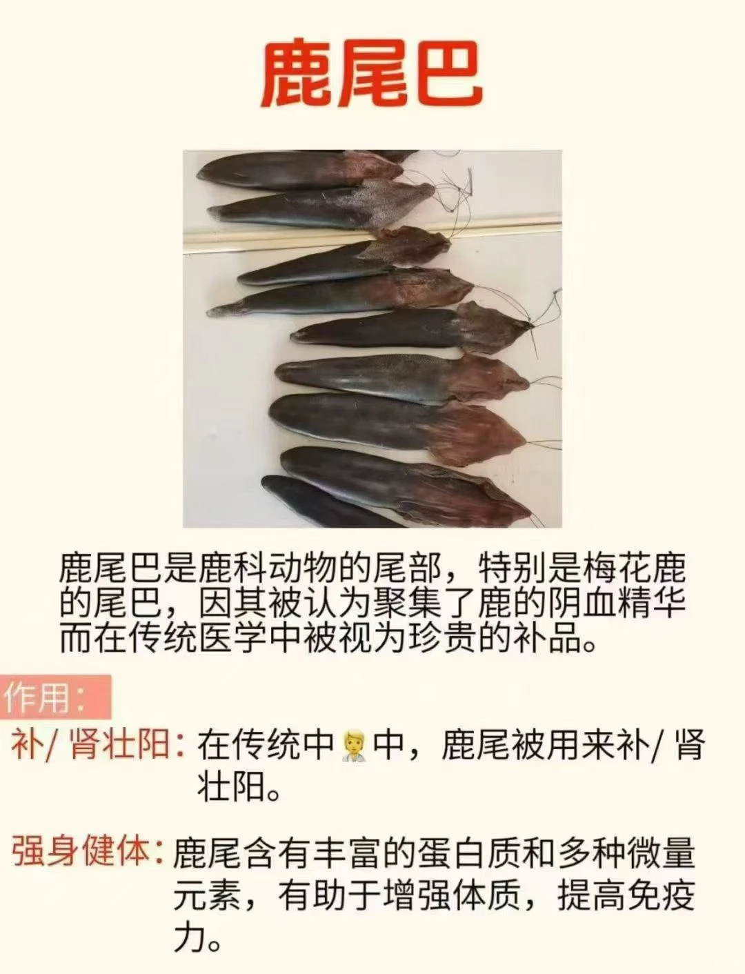 吉林辽源梅花鹿特产