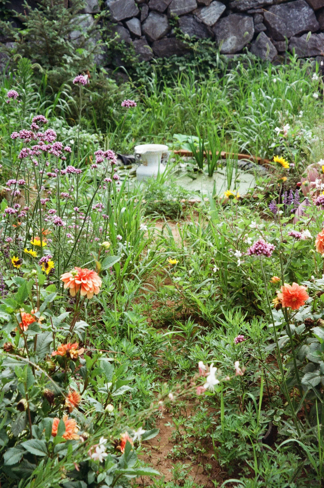 在阳台农场?庆祝大大小小的丰收。