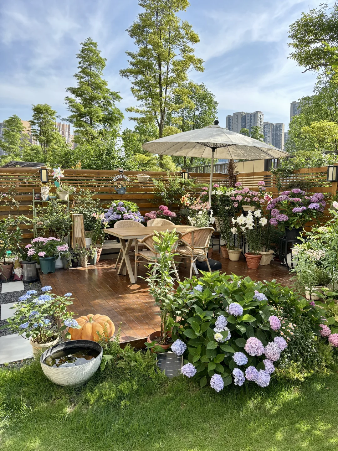 讲真，有这样的院子我能呆1年不出门！?