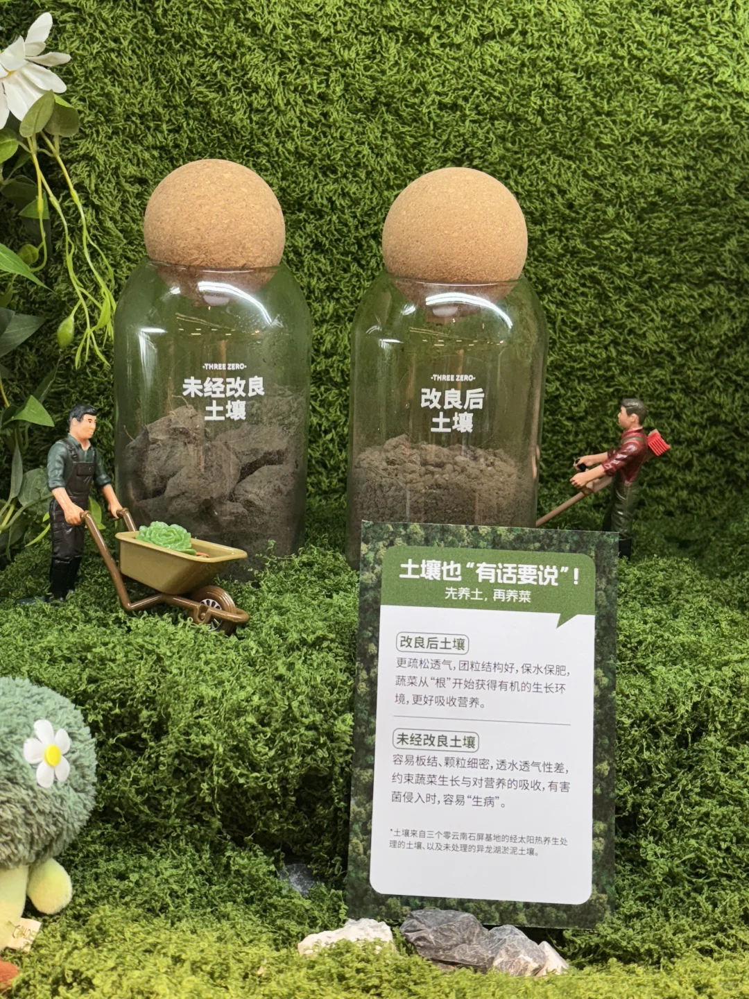 Ole新店开业，好治愈的蔬菜墙，想吃