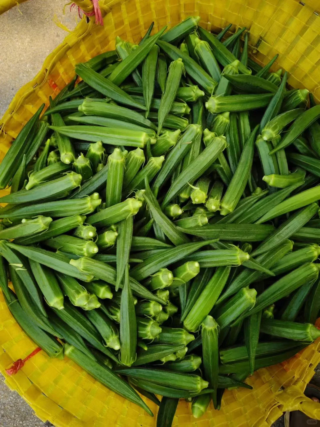 必看！适合一个人不折腾的副业