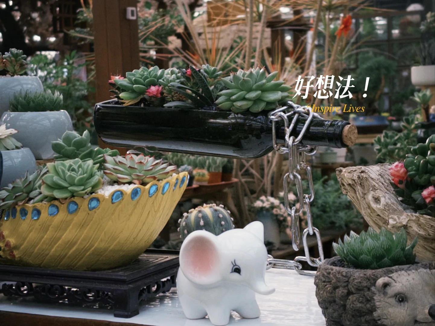 工作可以再找，但今天的绿色必须存档?