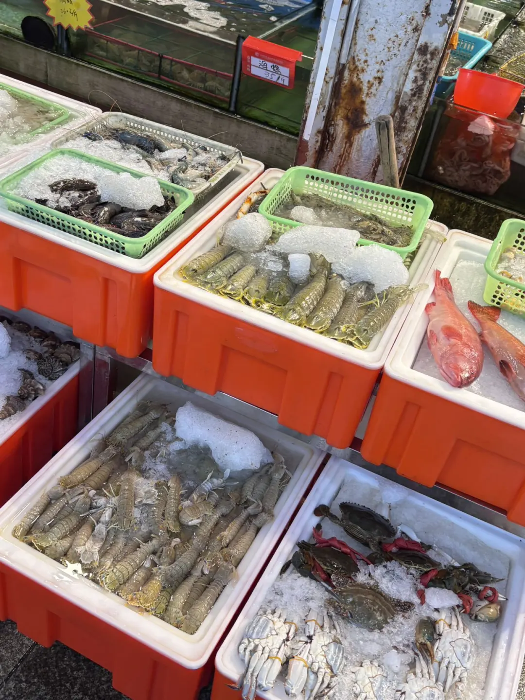 福州！！华威你真的太好吃了?