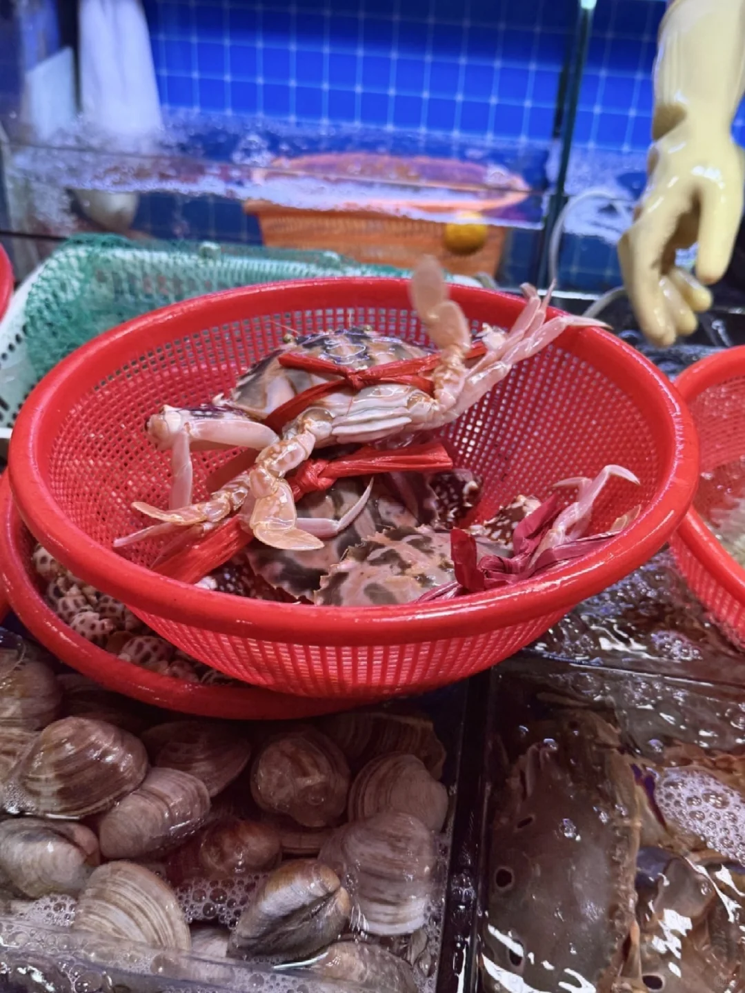 三亚这个菜市场的海鲜也太香了