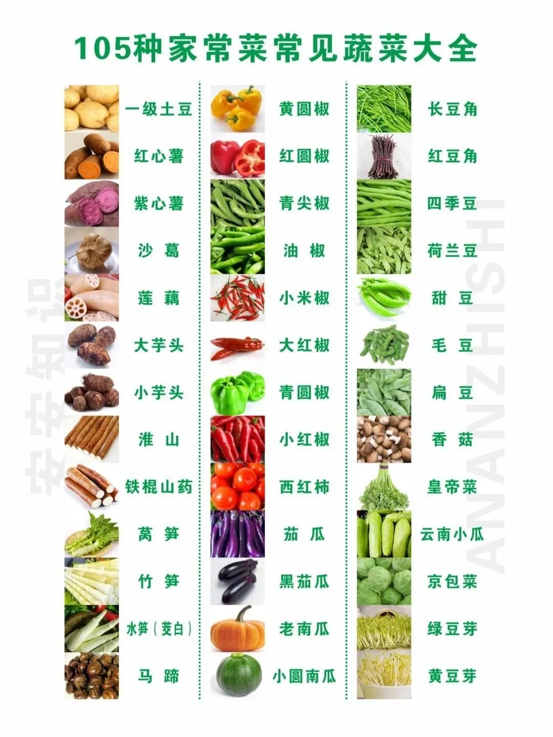 教你认识果蔬part2