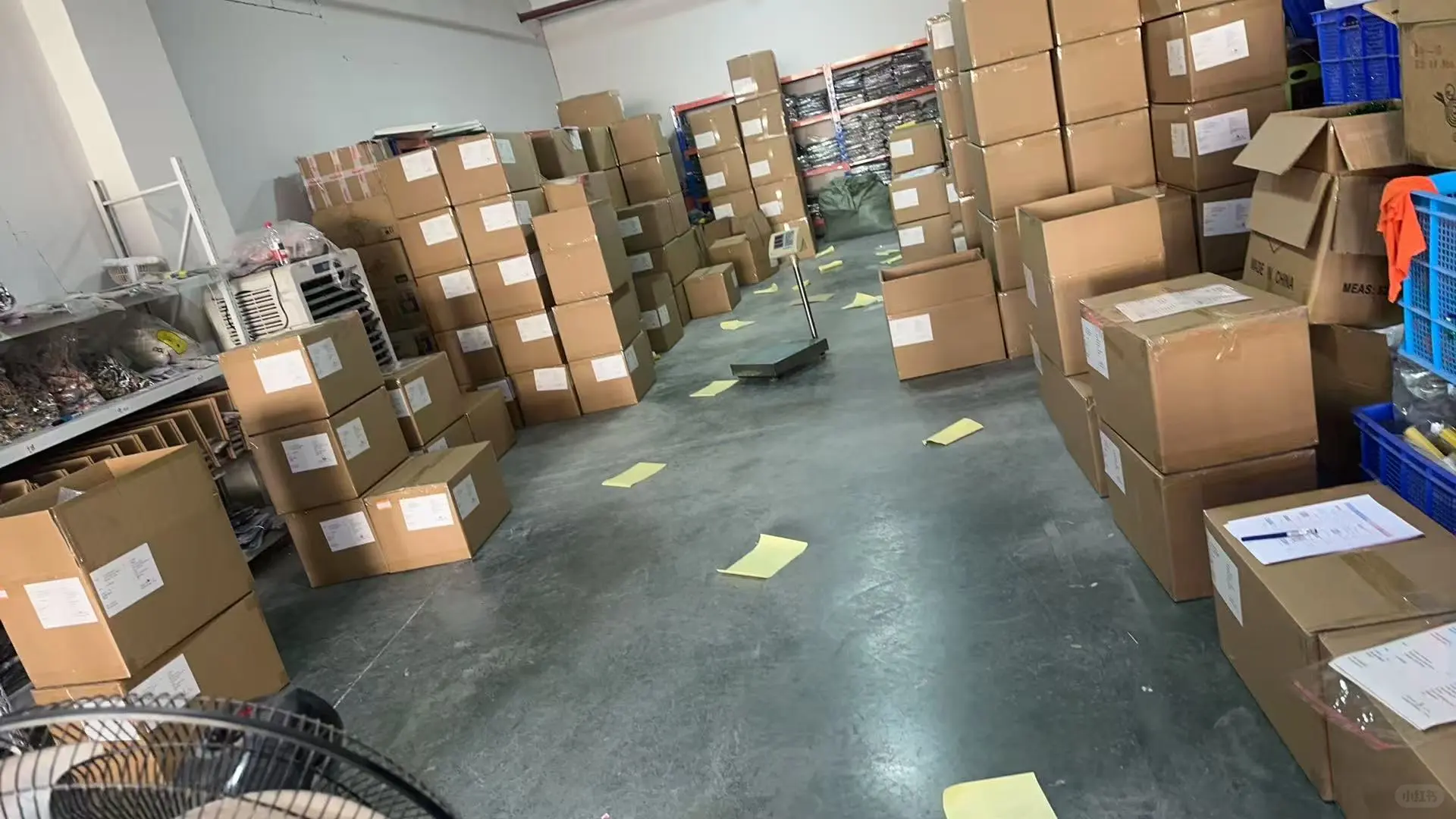 美国客户要出货了