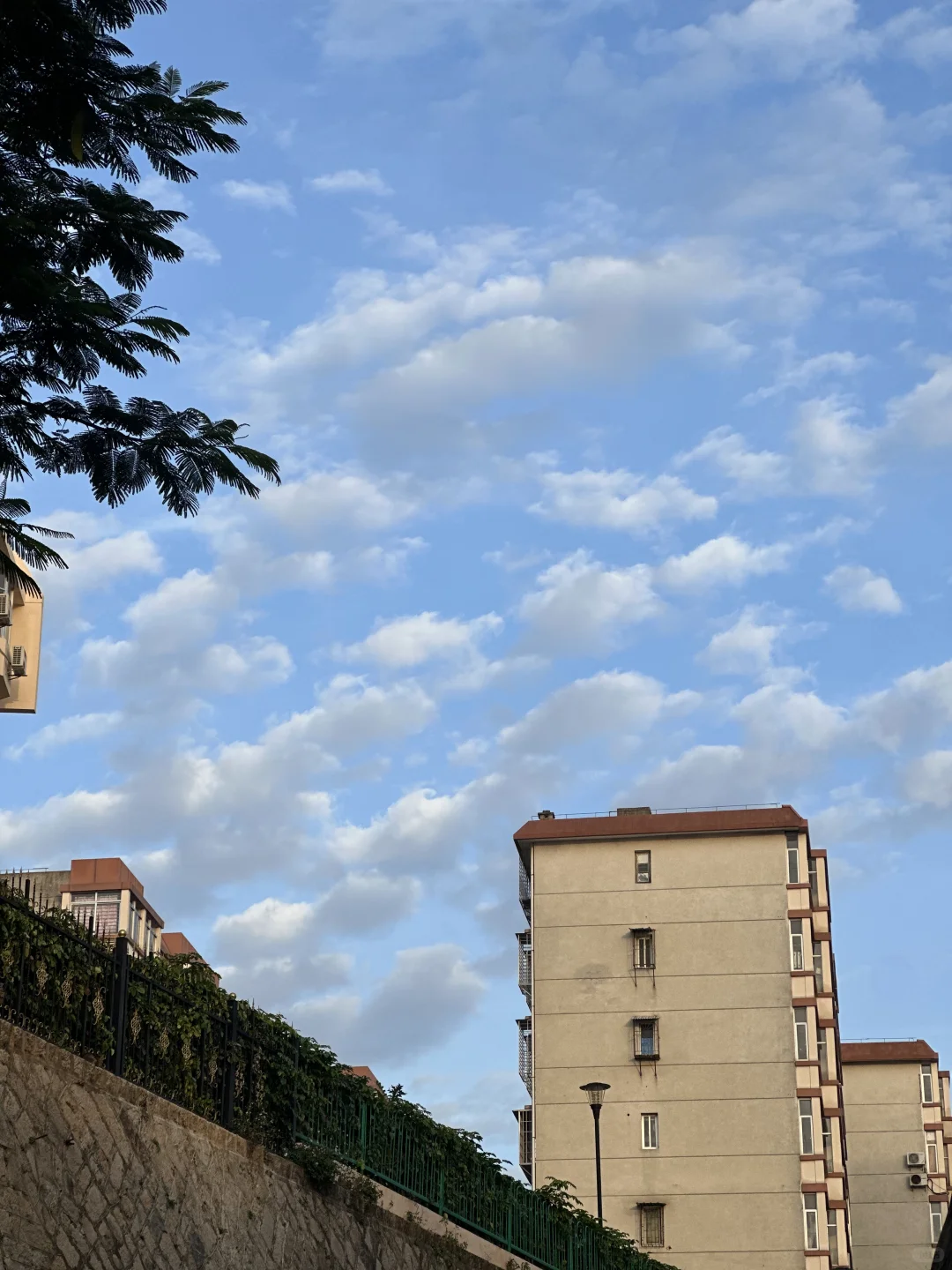 养生日记9｜165/50 不要关注2h和8km以外的事