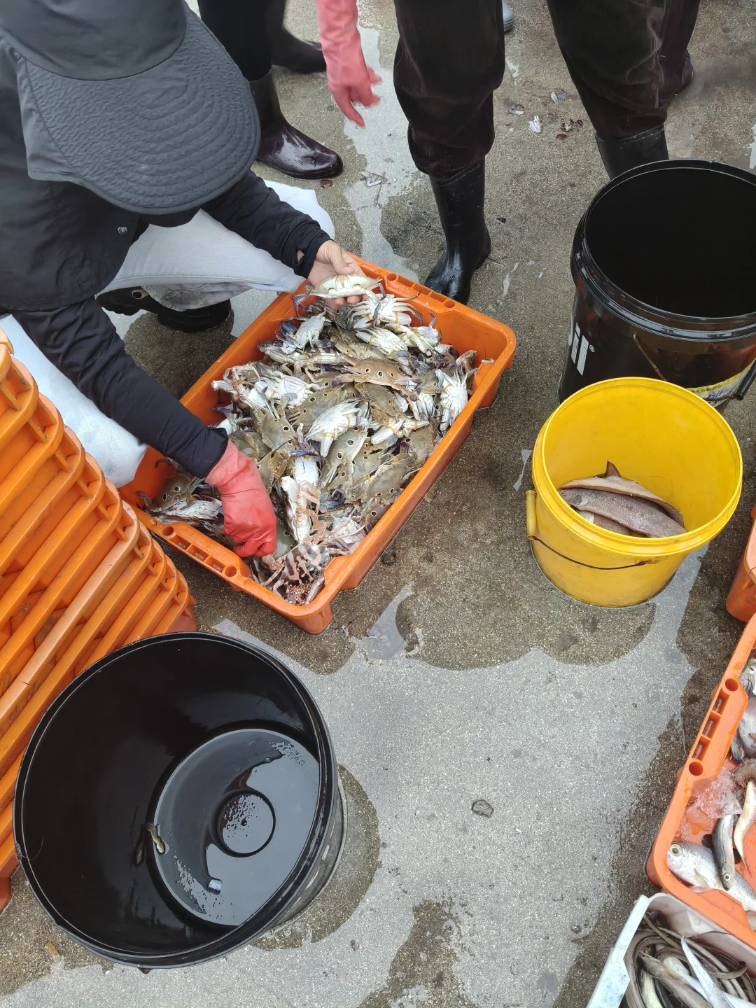 陵水本地人狂推❗️免费带买海鲜+自家加工