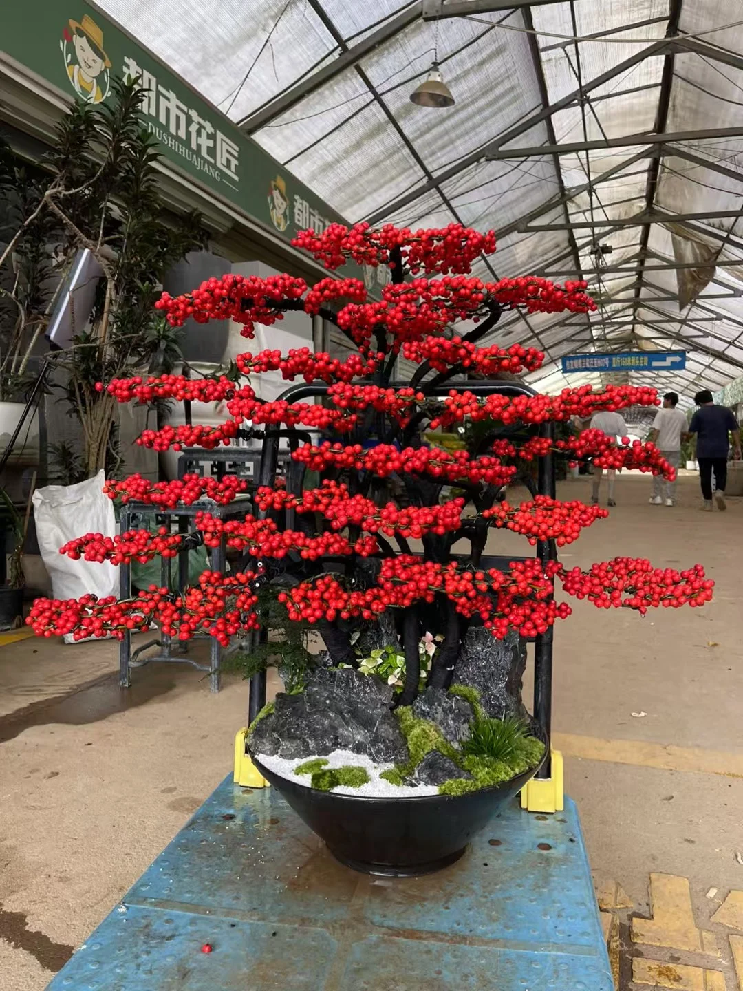 深圳绿植香港可送货上门