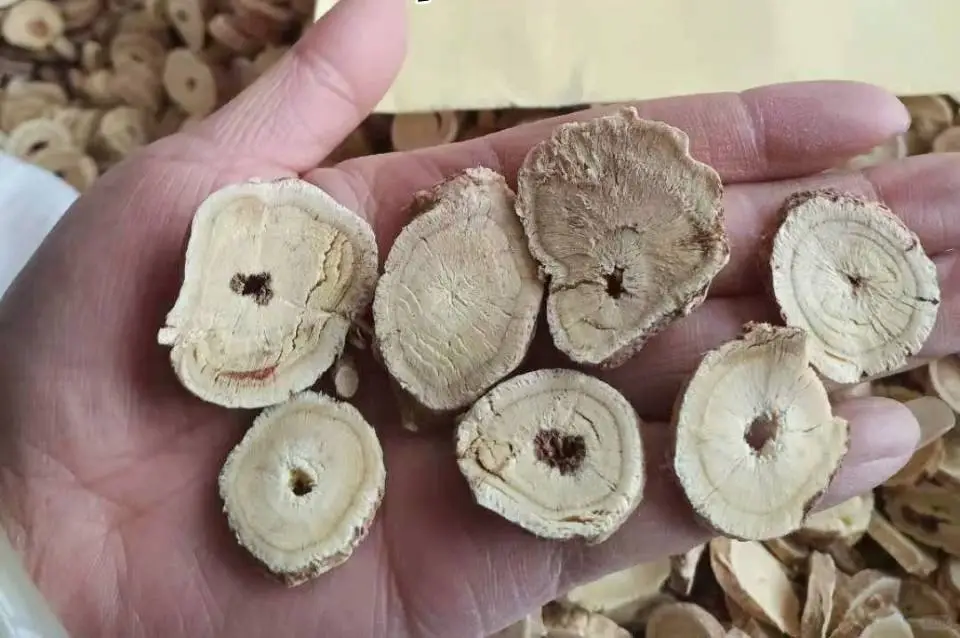 野生黄芪枸杞林下参（人参）东北长白山野生