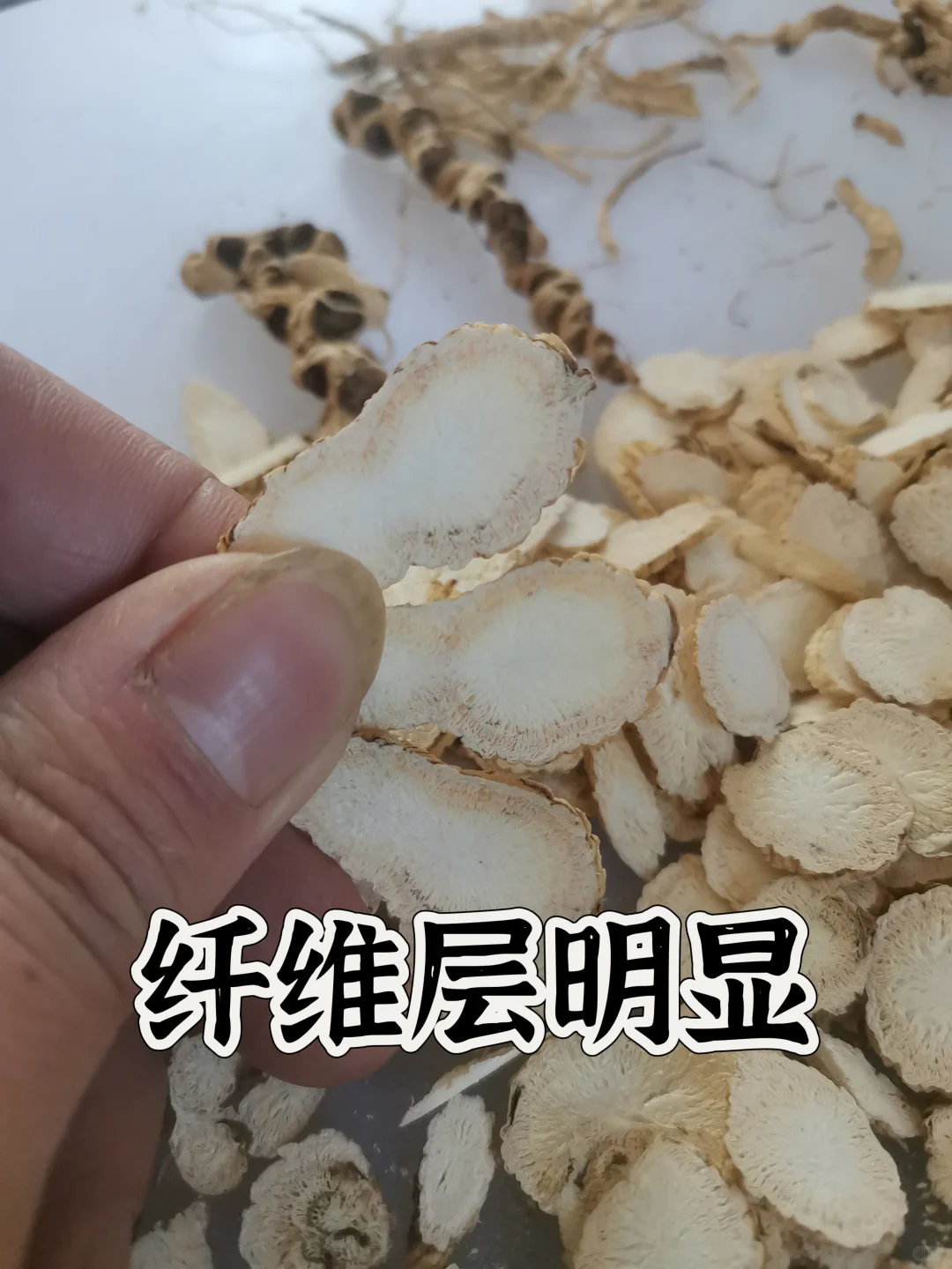 20年以上林下老野残