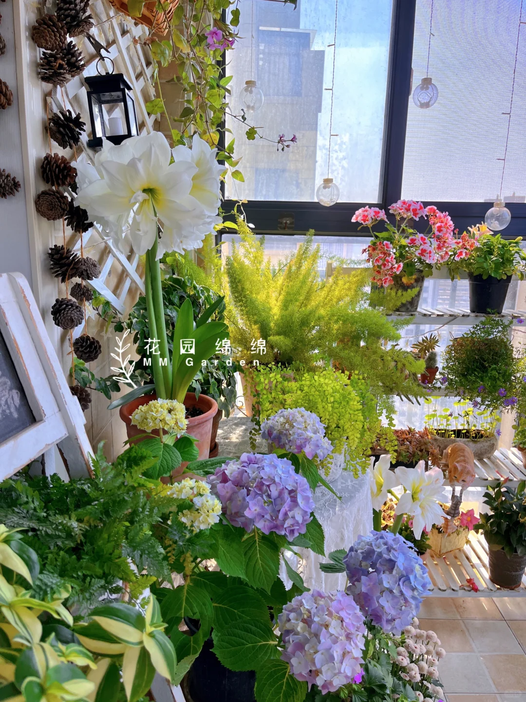 养花不晒花，等于白养花～?‍♀️??‍??