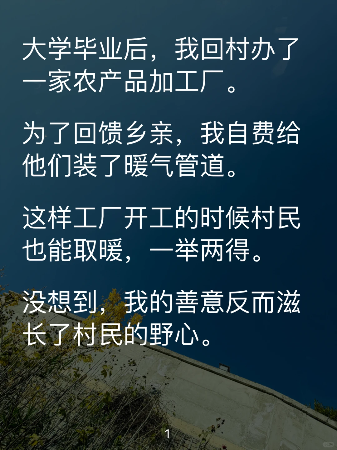 大学毕业后，我回村办了一家农产品加工厂。