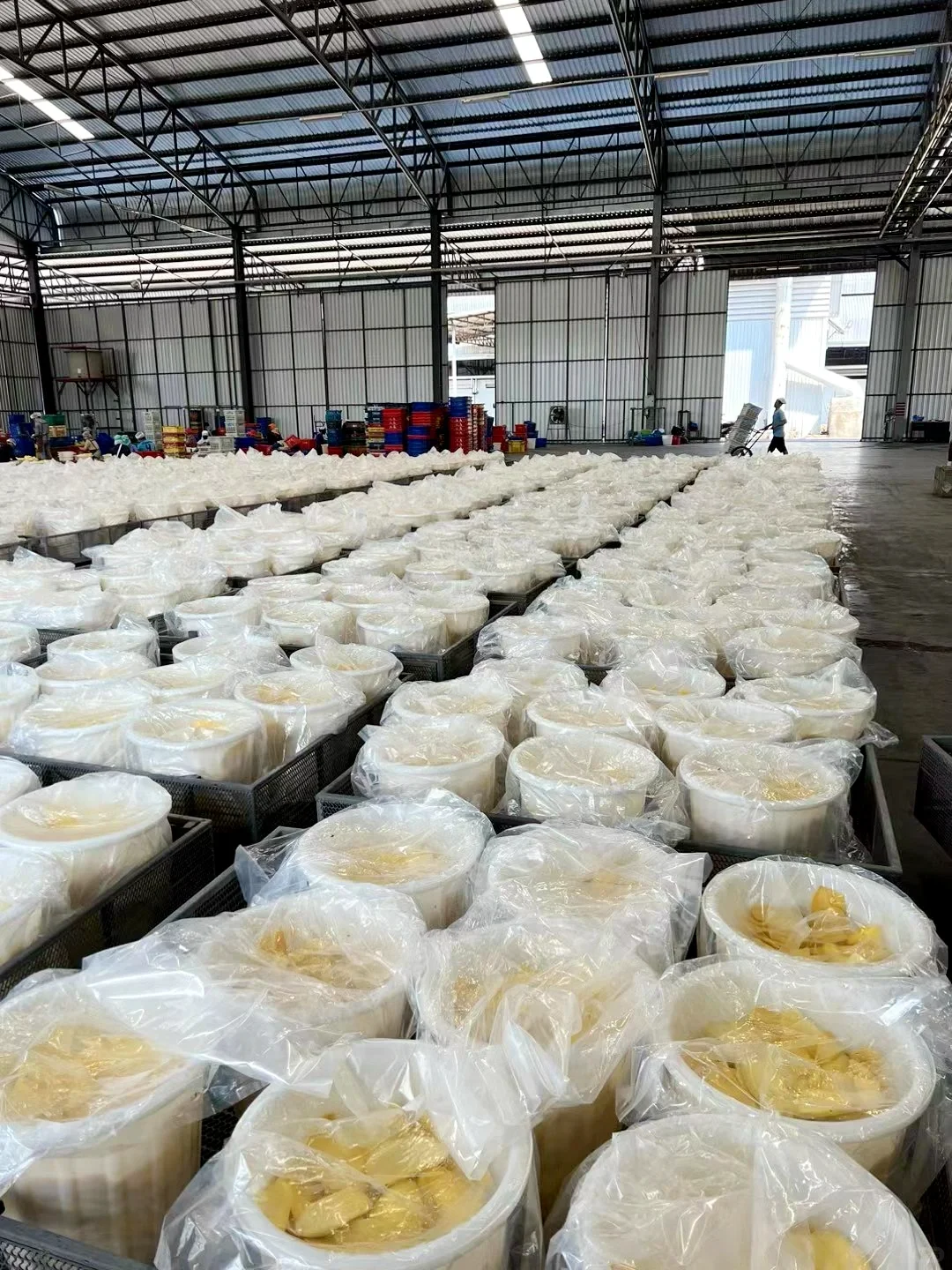 不卖完芒果干老板不让我回国