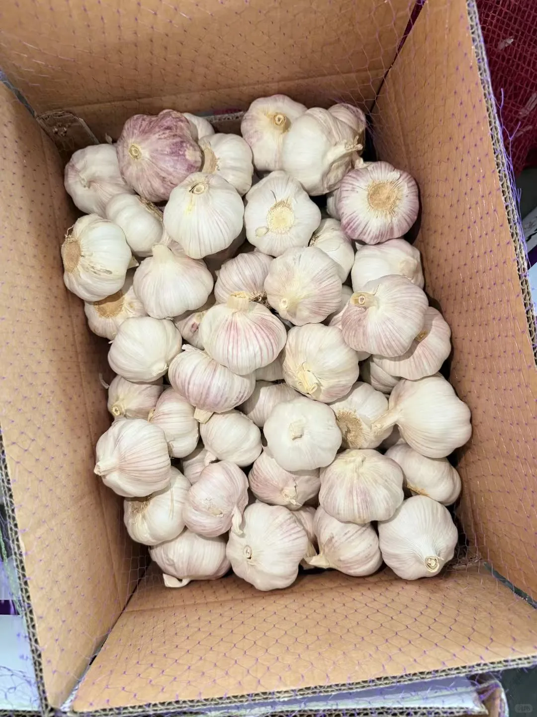 有人问大蒜怎么出口