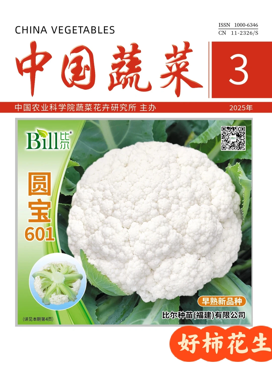 蔬菜采后贮藏加工可以试试这本期刊