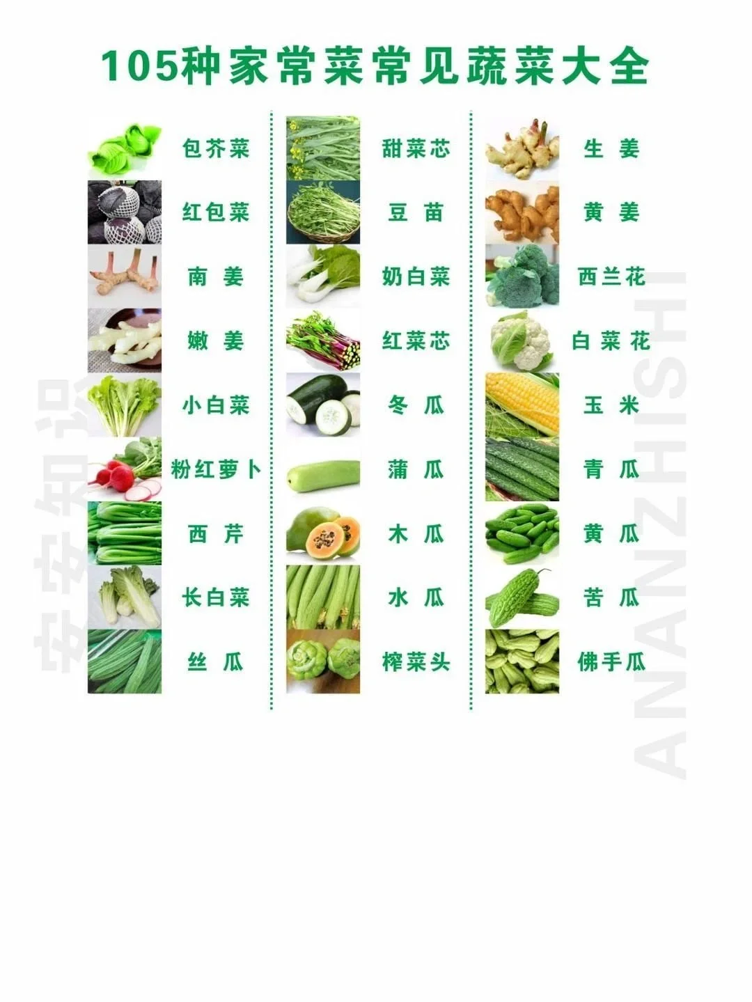 教你认识果蔬part2