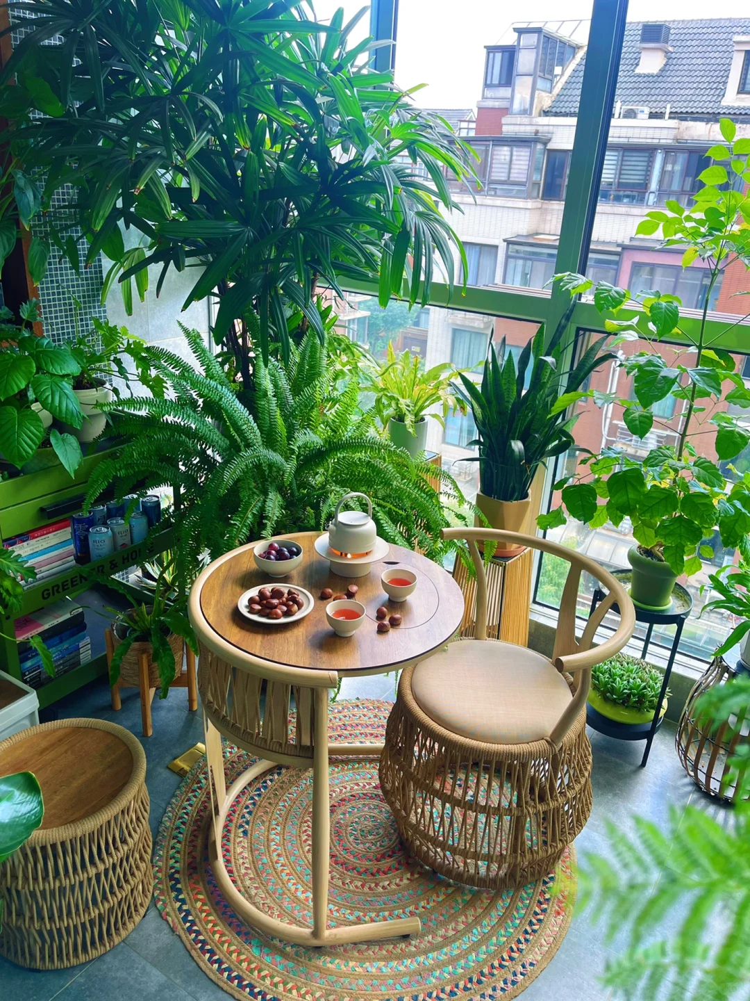 9m²小森林｜跟大家聊聊我家阳台的植物选择