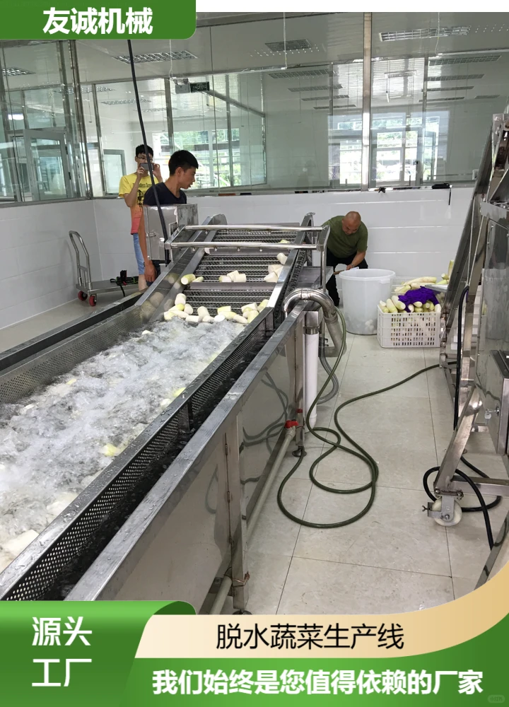 河南苹果切片机采购