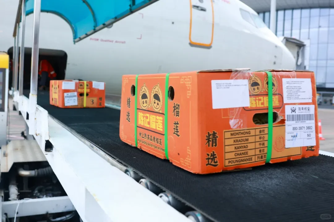 首单！江东新区进境水果指定监管场地业务