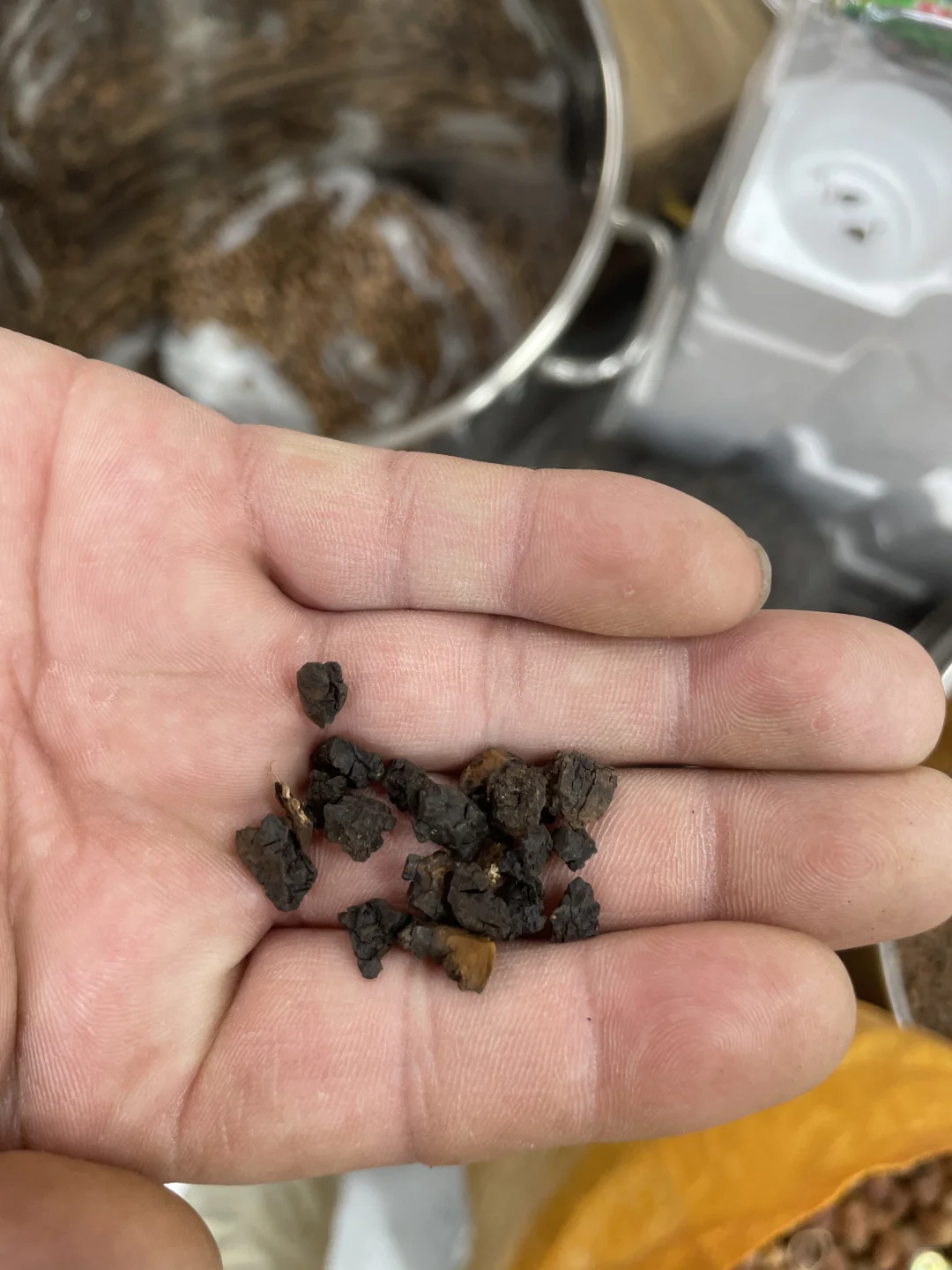 买长白山特产被坑