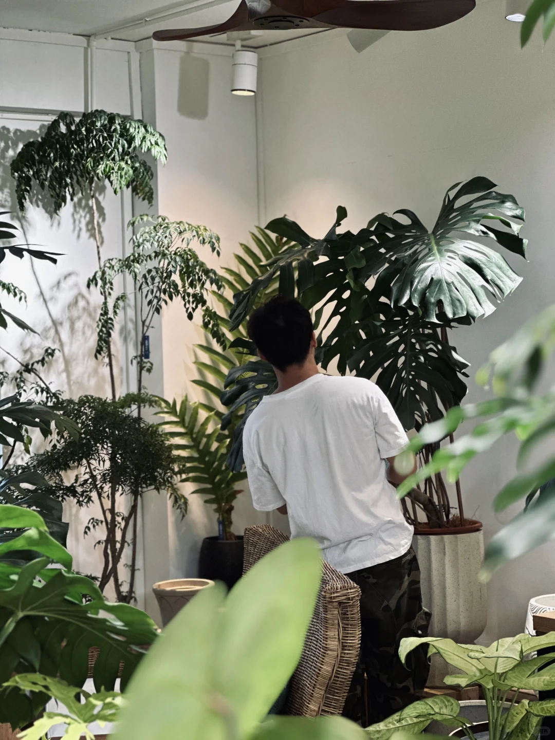 花店的治愈时光