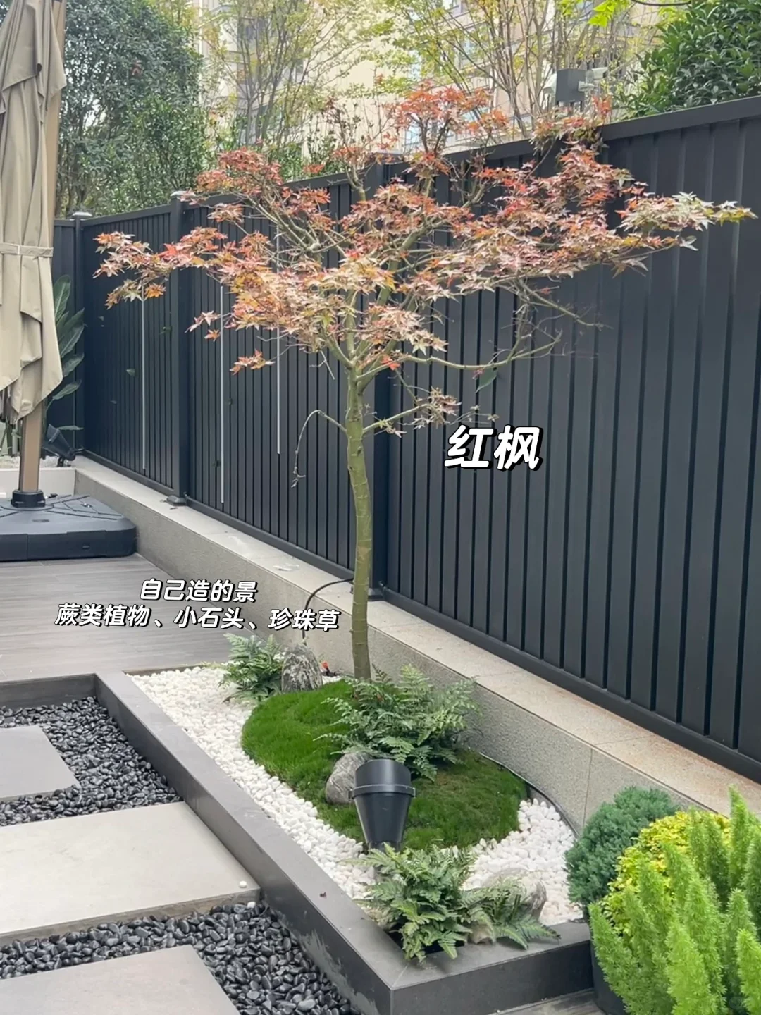 ?花园植物搭配｜普通人自己买植物装的花园