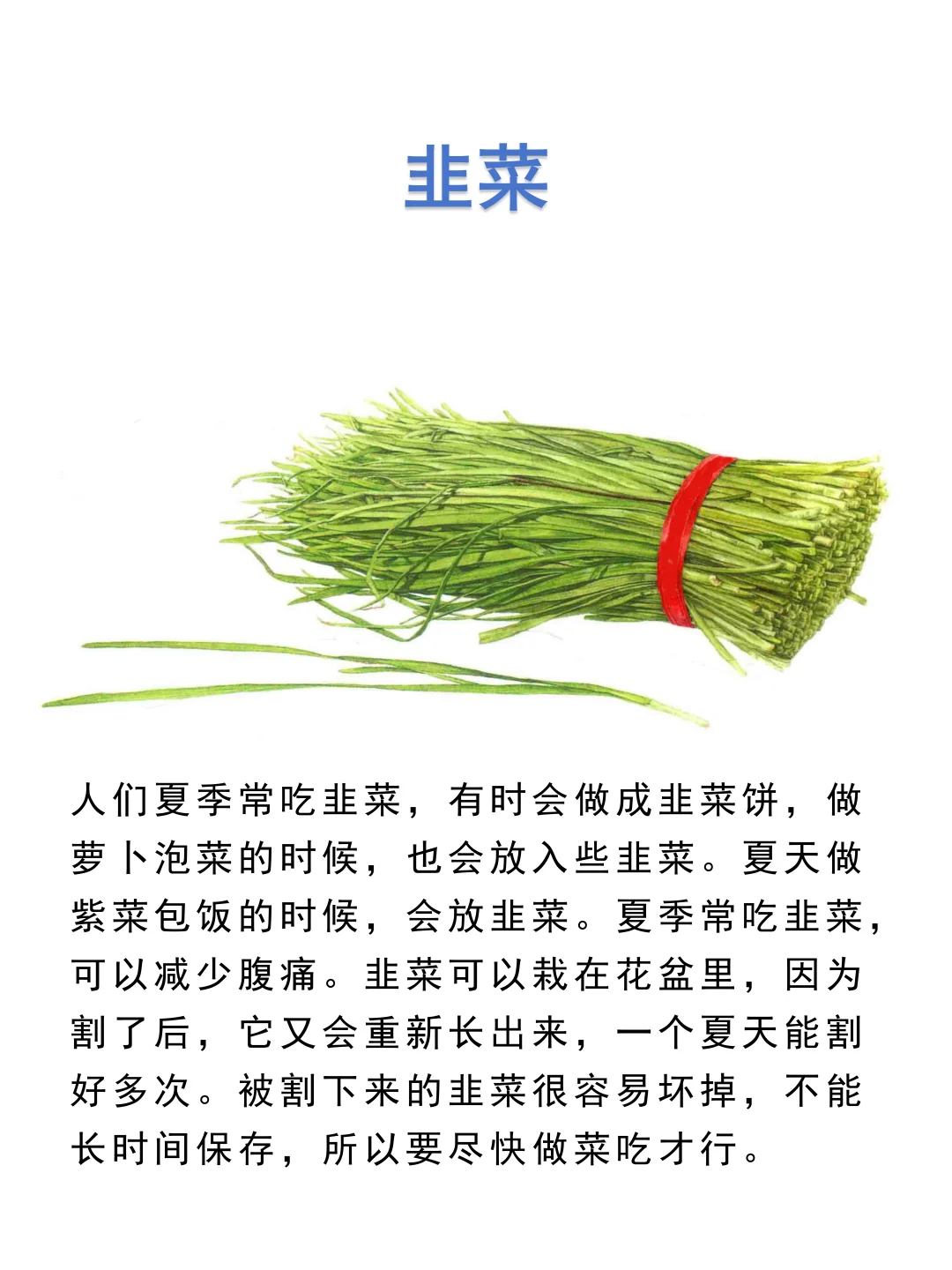 食用叶和茎的蔬菜