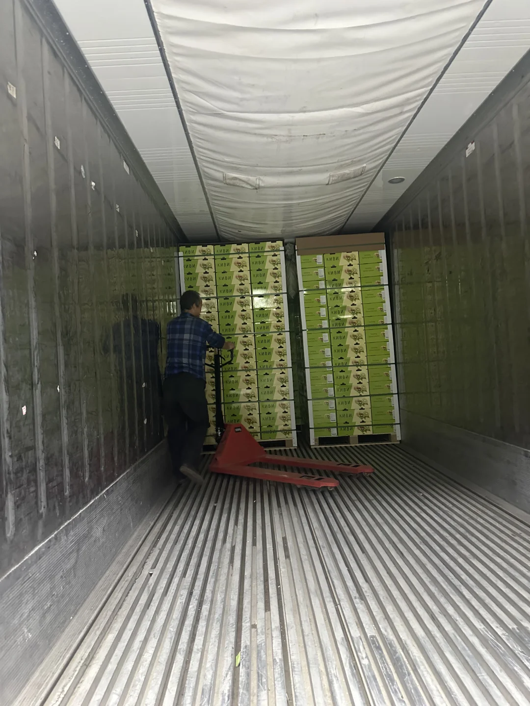 猕猴桃出口加工厂，水果出口