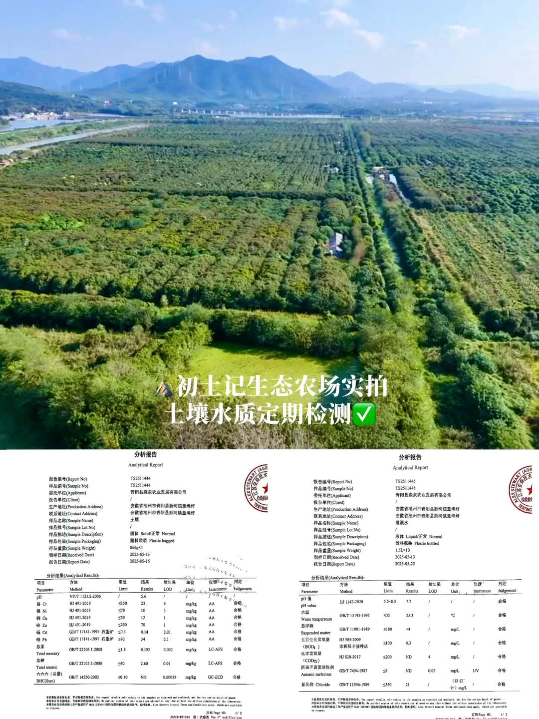 对不起了河马?我选万亩农场的“野生菜”