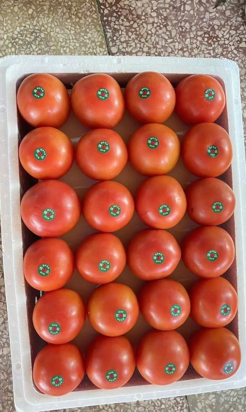 合肥10月1号国庆节蔬菜批发价格