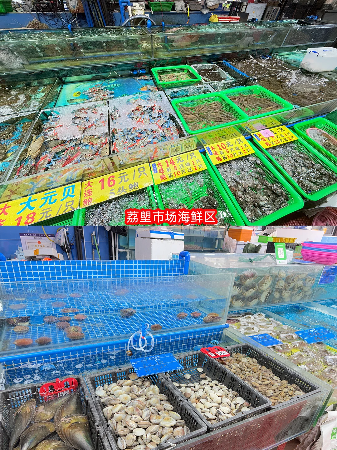 1 蚊 1 只生蚝？广钢周边宝藏菜市场盘点