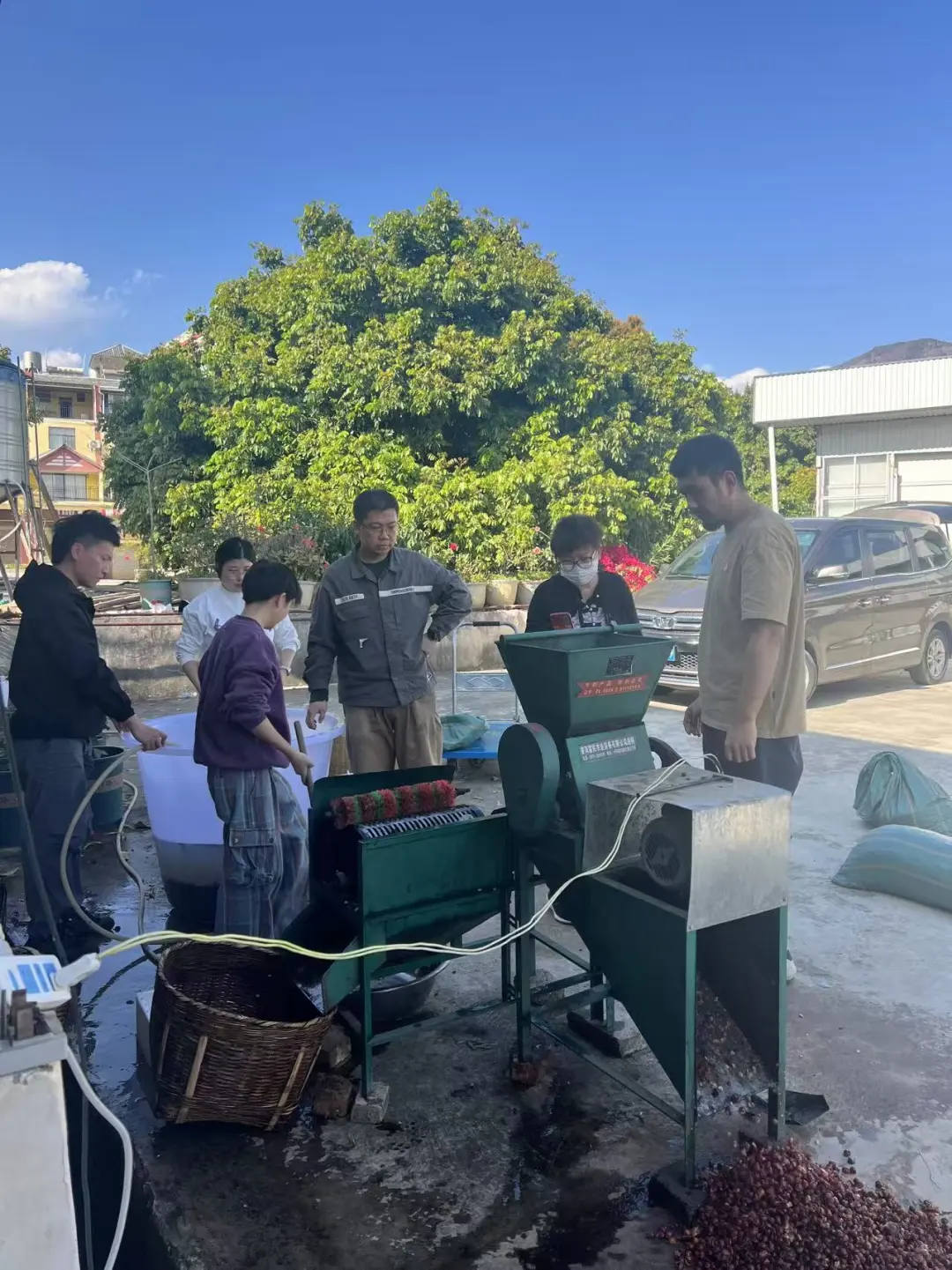 报名：云南产区游 | 生豆处理及烘焙综合课