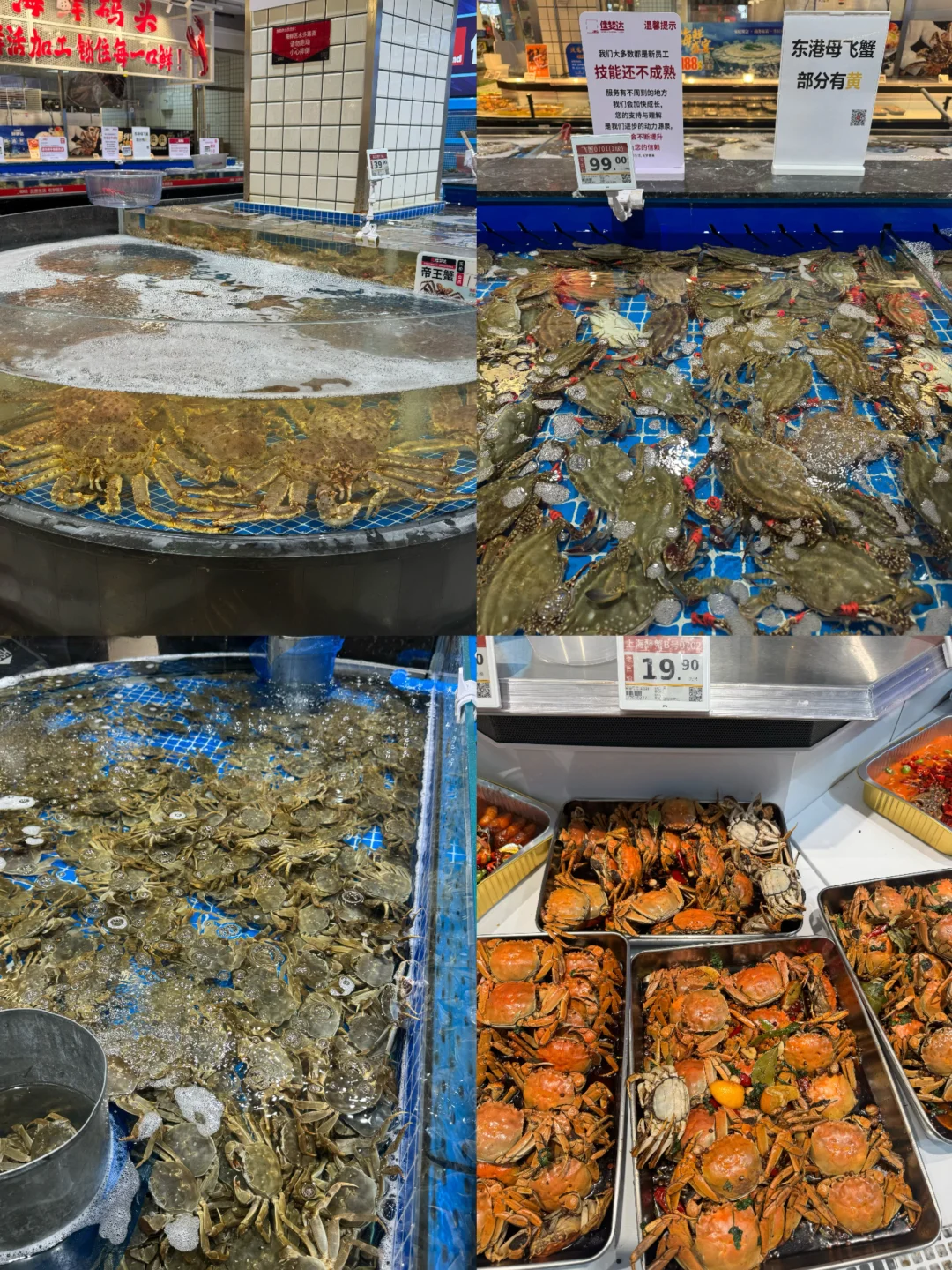 菜市场里的烟火气?