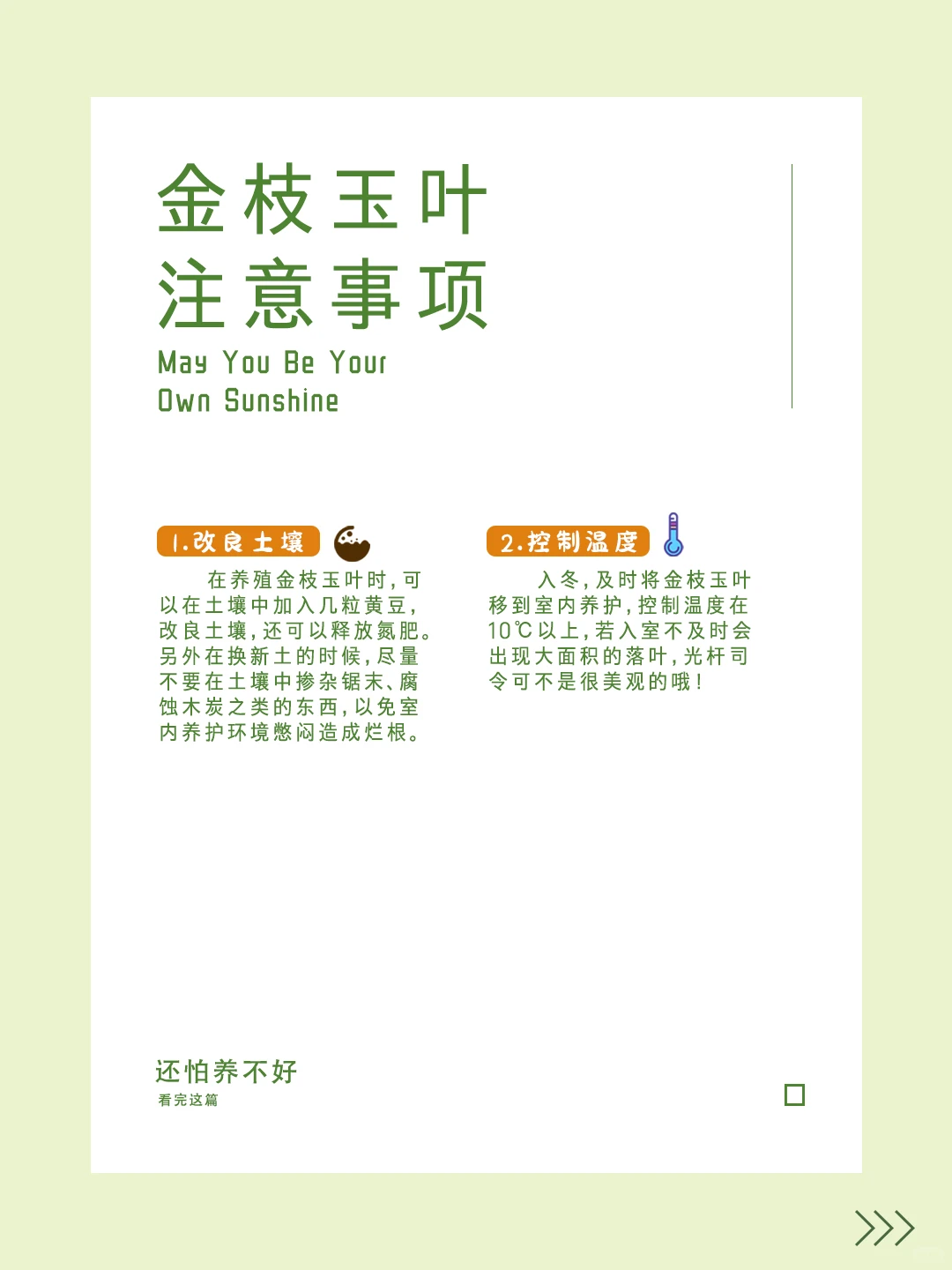 “第三十一期~金枝玉叶~养护秘籍！?”