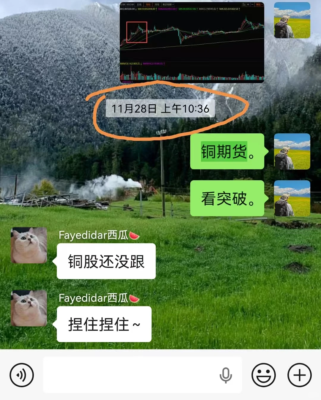 为什么我本周能重仓铜、铝、钴因为信息差