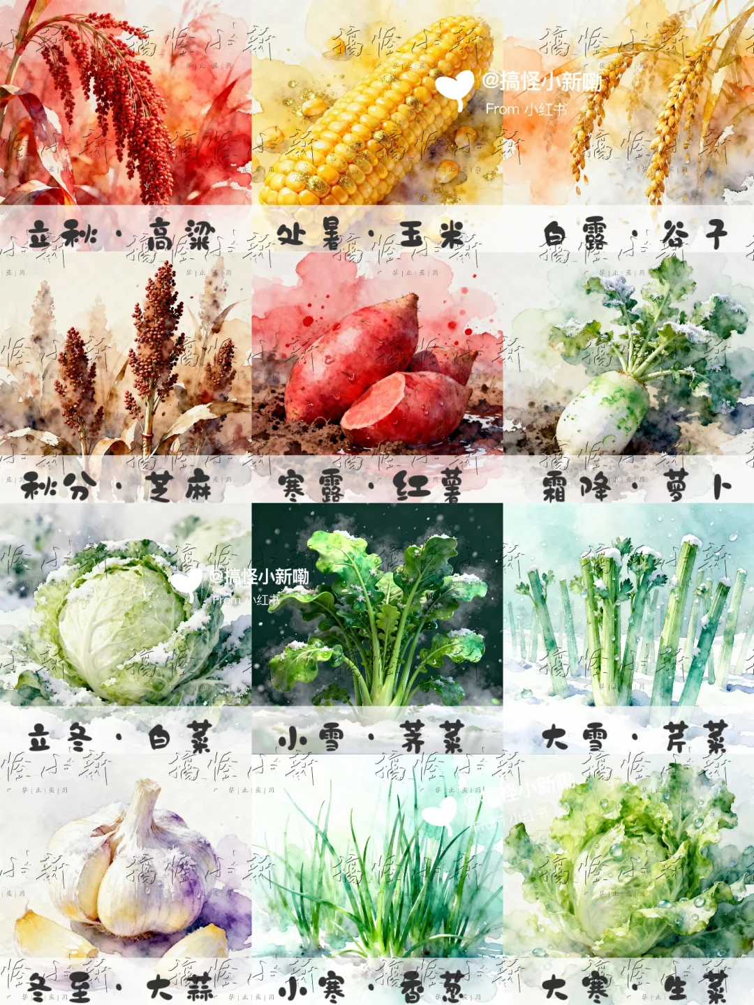 ?被这组“农耕文化图鉴”美到啦！