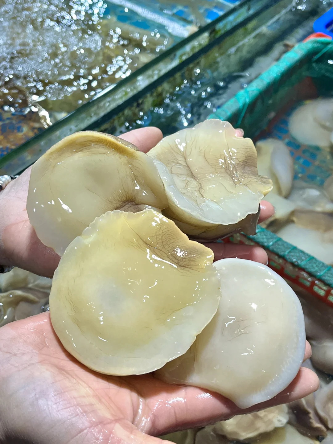 下高铁第一站！直奔这个宝藏市场！！！