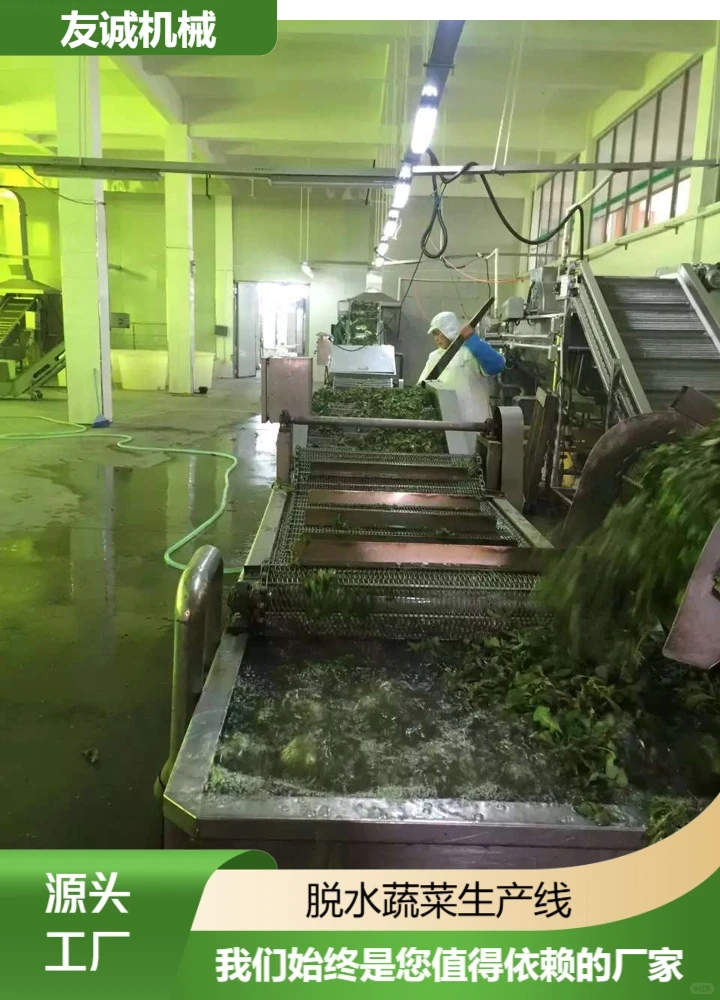 百色脱水蔬菜生产线采购