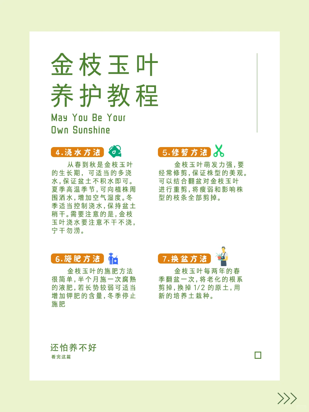 “第三十一期~金枝玉叶~养护秘籍！?”