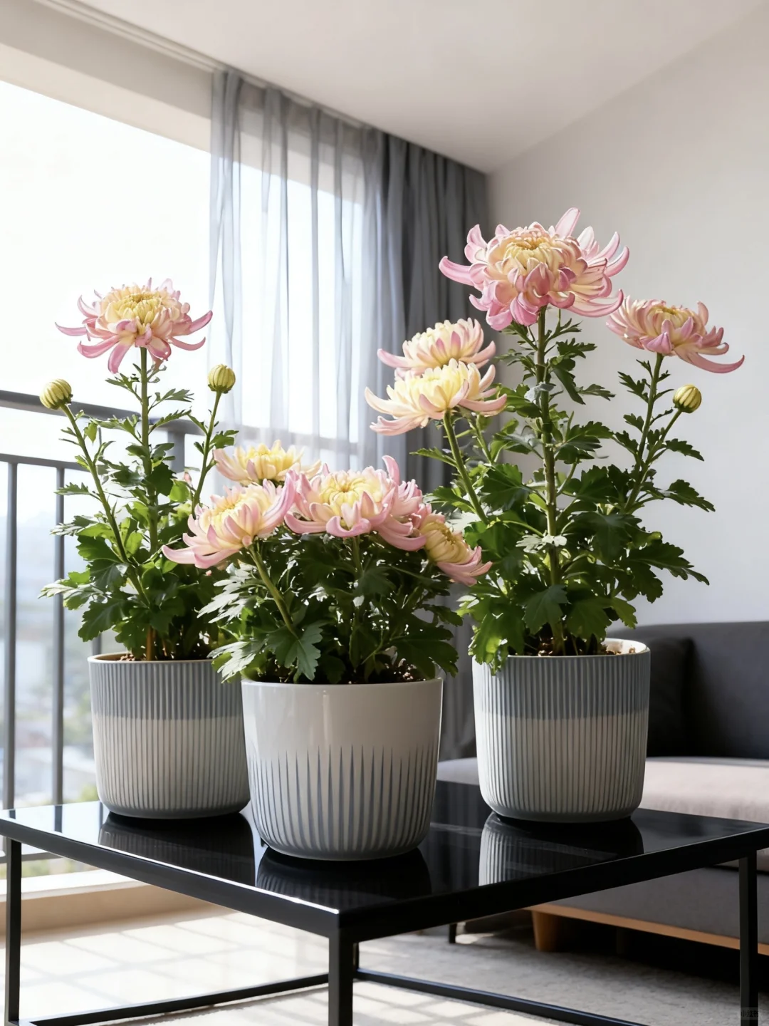 不是亲手带大的？是网购带花苞的苗。