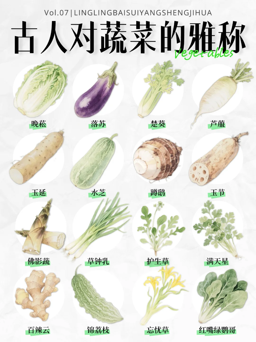 古人对蔬菜的雅称?古人也太会起名了吧~
