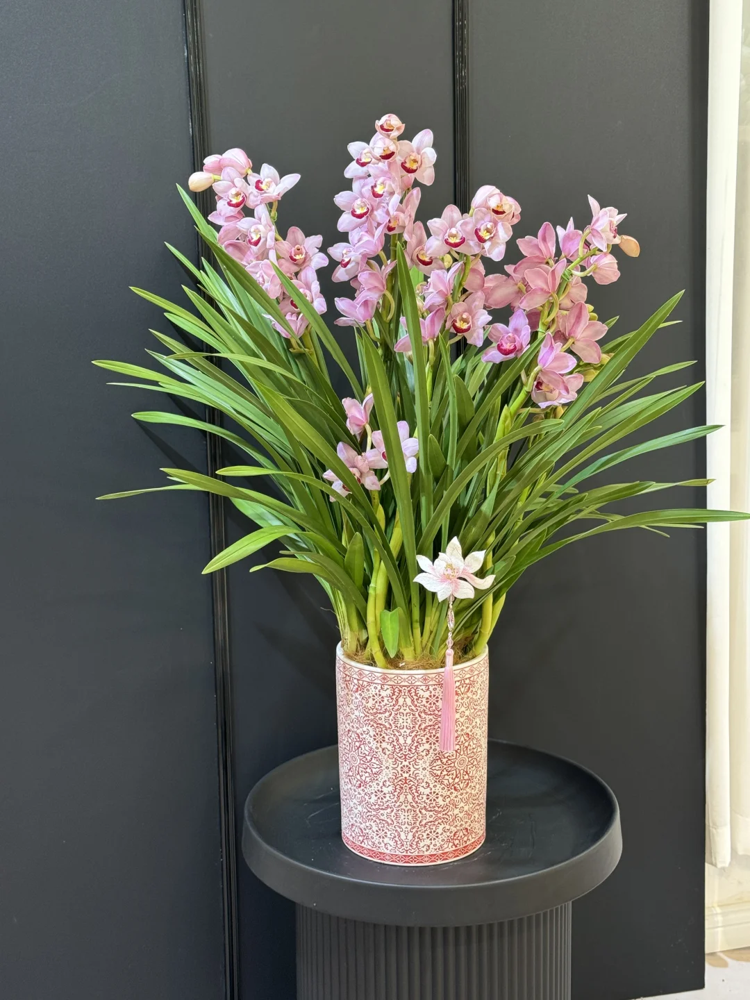 大花惠兰 最近的销冠?