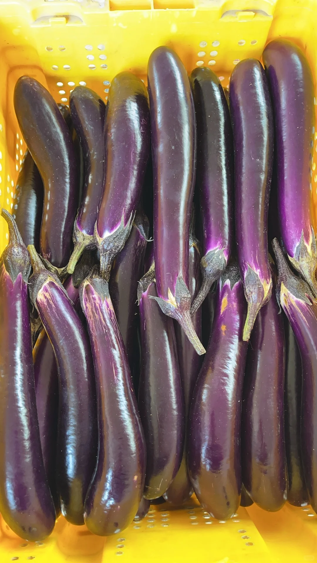 必看！适合一个人不折腾的副业