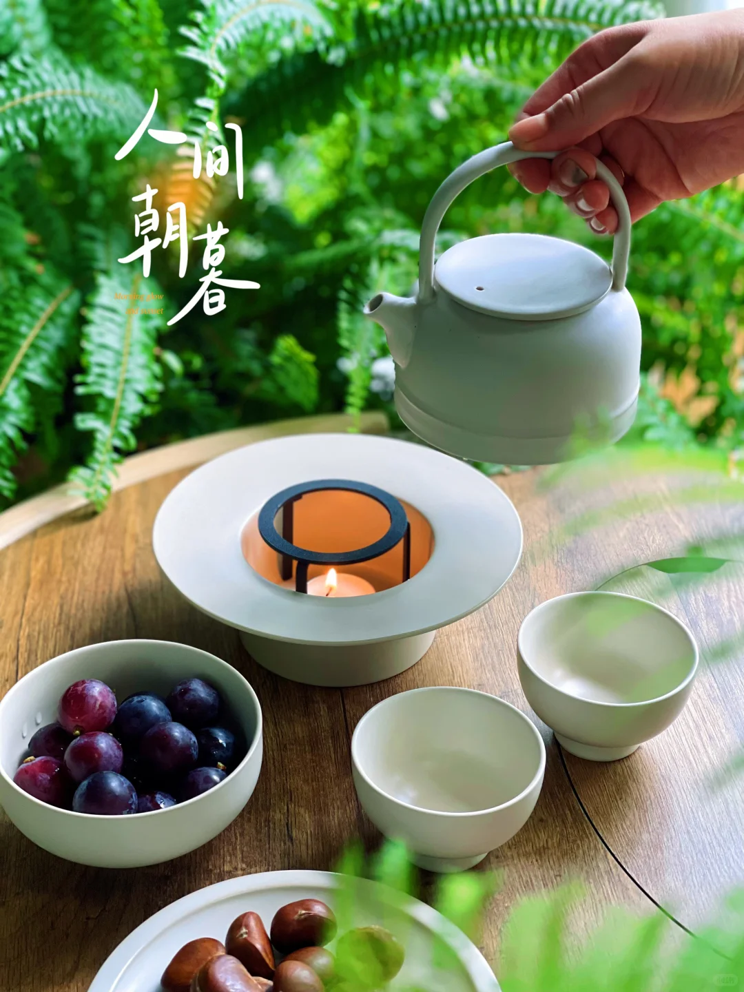 9m²小森林｜跟大家聊聊我家阳台的植物选择